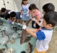 御影のどか保育園お魚タッチプール