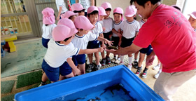 お魚タッチプール